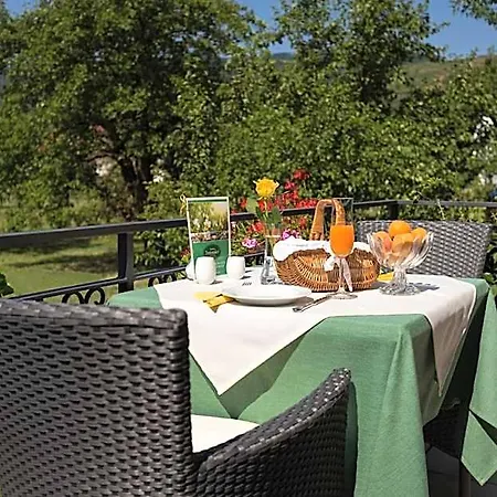 Donauhof - Garni 4* 레헨스테이너와차우
