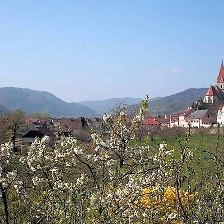 호텔 Donauhof - Garni