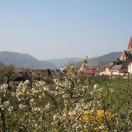 Hotel Donauhof - Garni Weissenkirchen in der Wachau