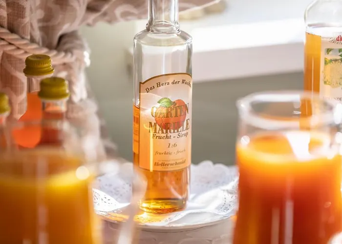 Hotel Donauhof - Garni Weissenkirchen in der Wachau